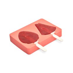 Stampo gelati e ghiaccioli in silicone, , large
