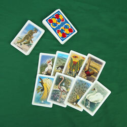 Gioco Di Carte Del Mercante In Fiera Dal Negro, , large