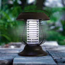 Lanterna Solare Anti Insetti 2 In 1, , large
