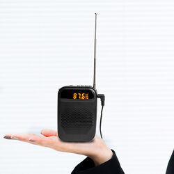Amplificatore Portatile Con Microfono, Mp3 E Radio, , large