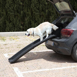 Rampa Per Cani Pieghevole Antiscivolo, , large