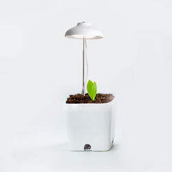 Luce Per Crescita Piante 5w, , large