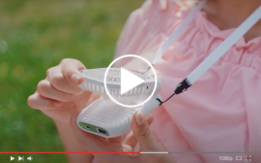 Visualizza il video