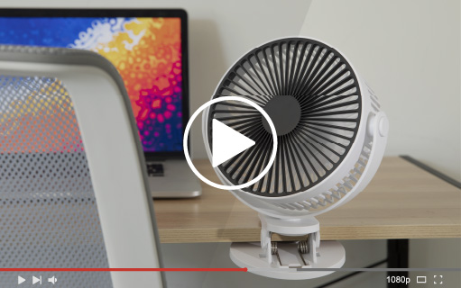 Visualizza il video