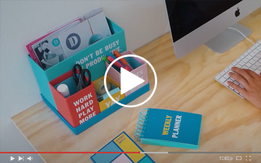 Visualizza il video