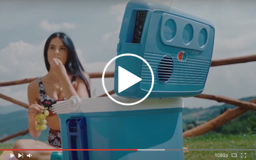 Visualizza il video