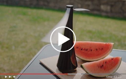 Visualizza il video