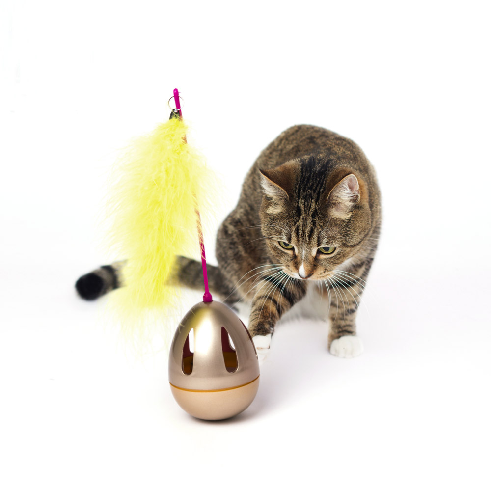 Gioco sempre in piedi per gatti, , large