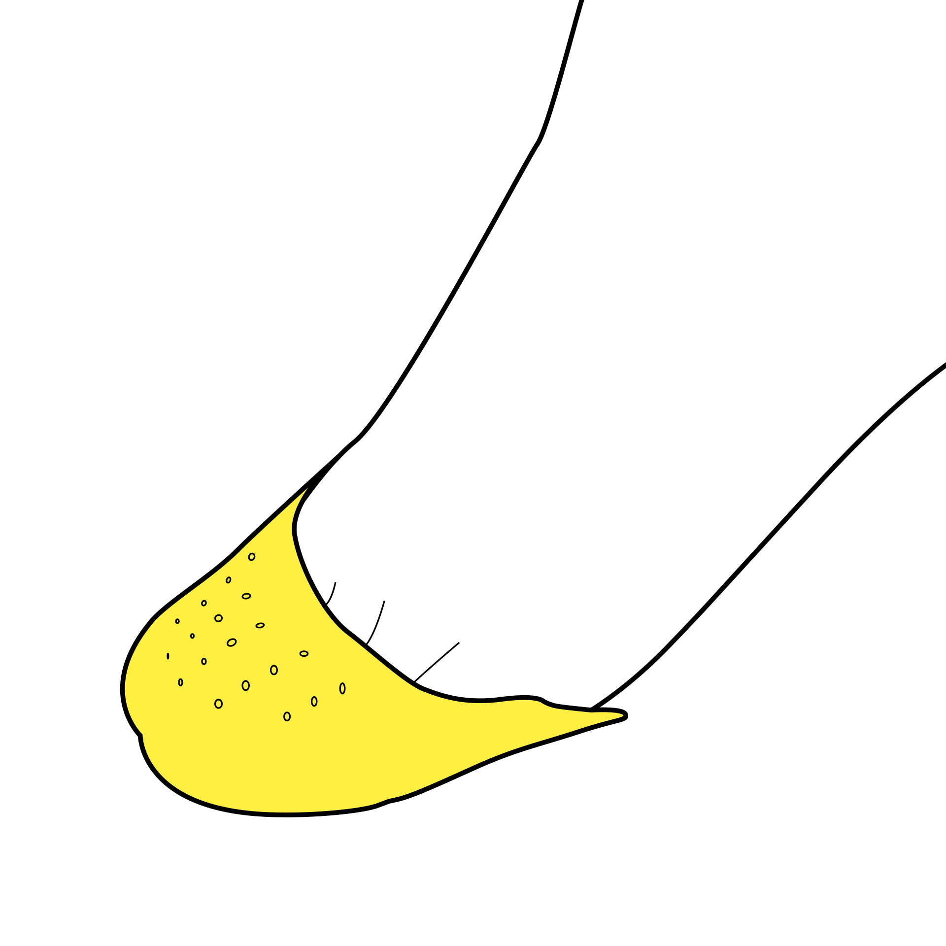 Punta proteggi dita dei piedi set da 2 pz, , large