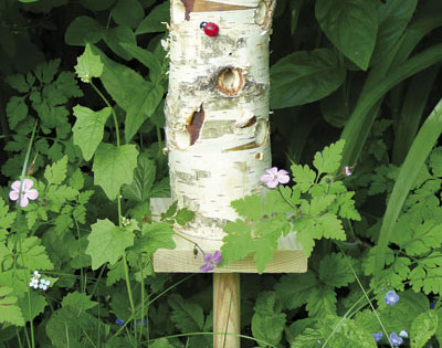 Casetta in legno di betulla per coccinelle, , large