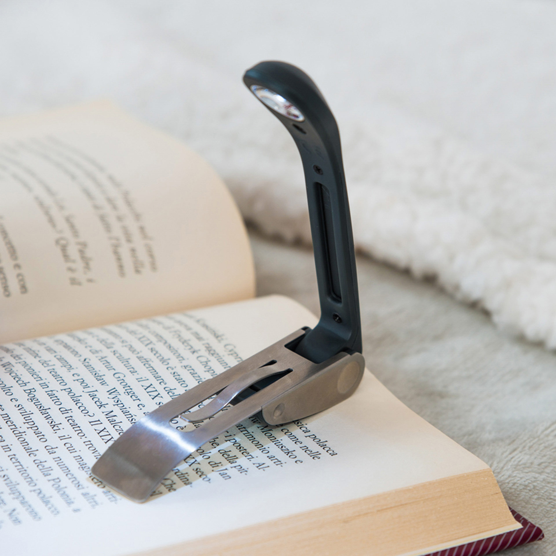 Luce da libro, , large