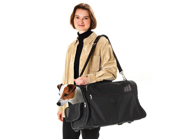 Trolley per cani, , large