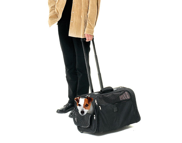 Trolley per cani, , large