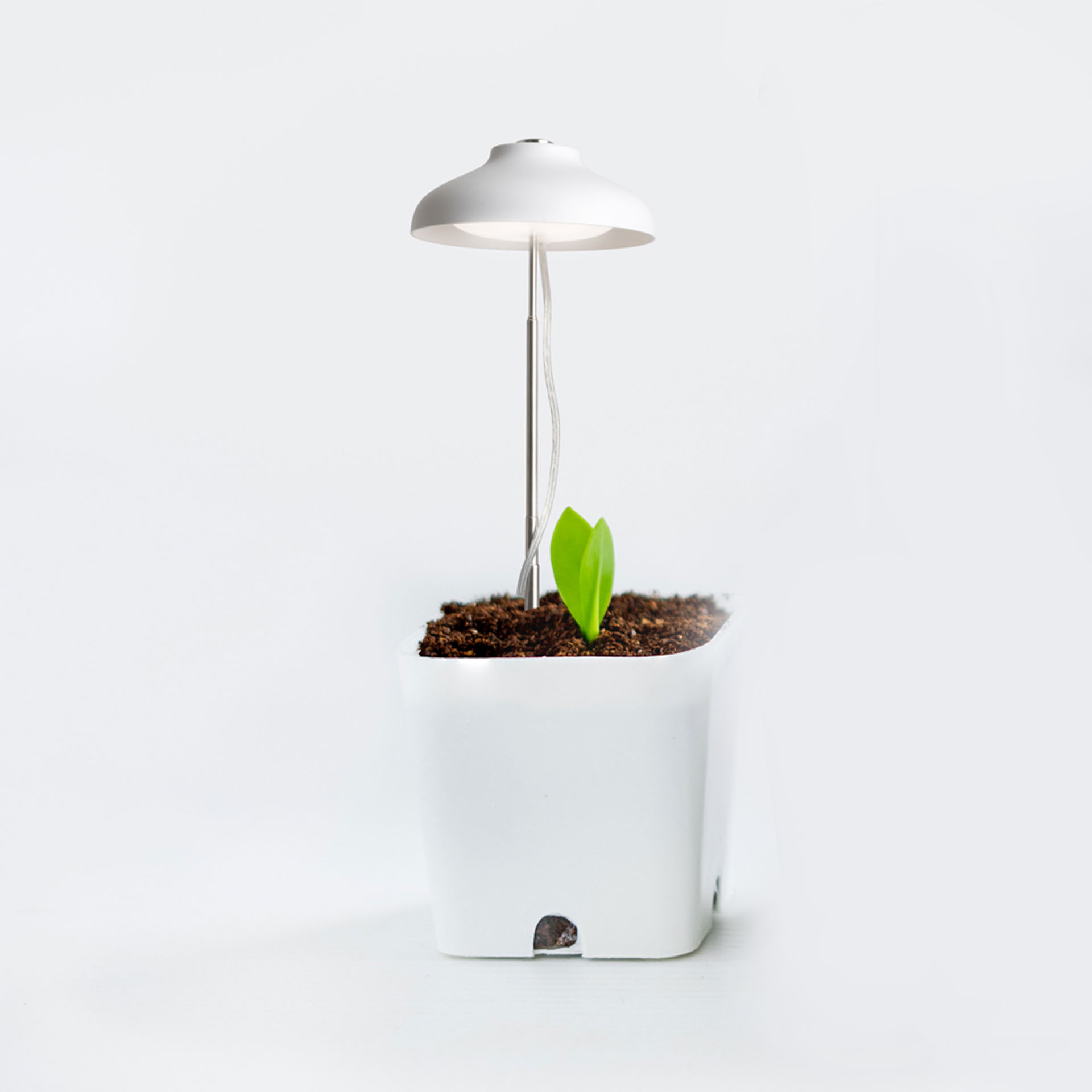 Luce per crescita piante 5W, , large