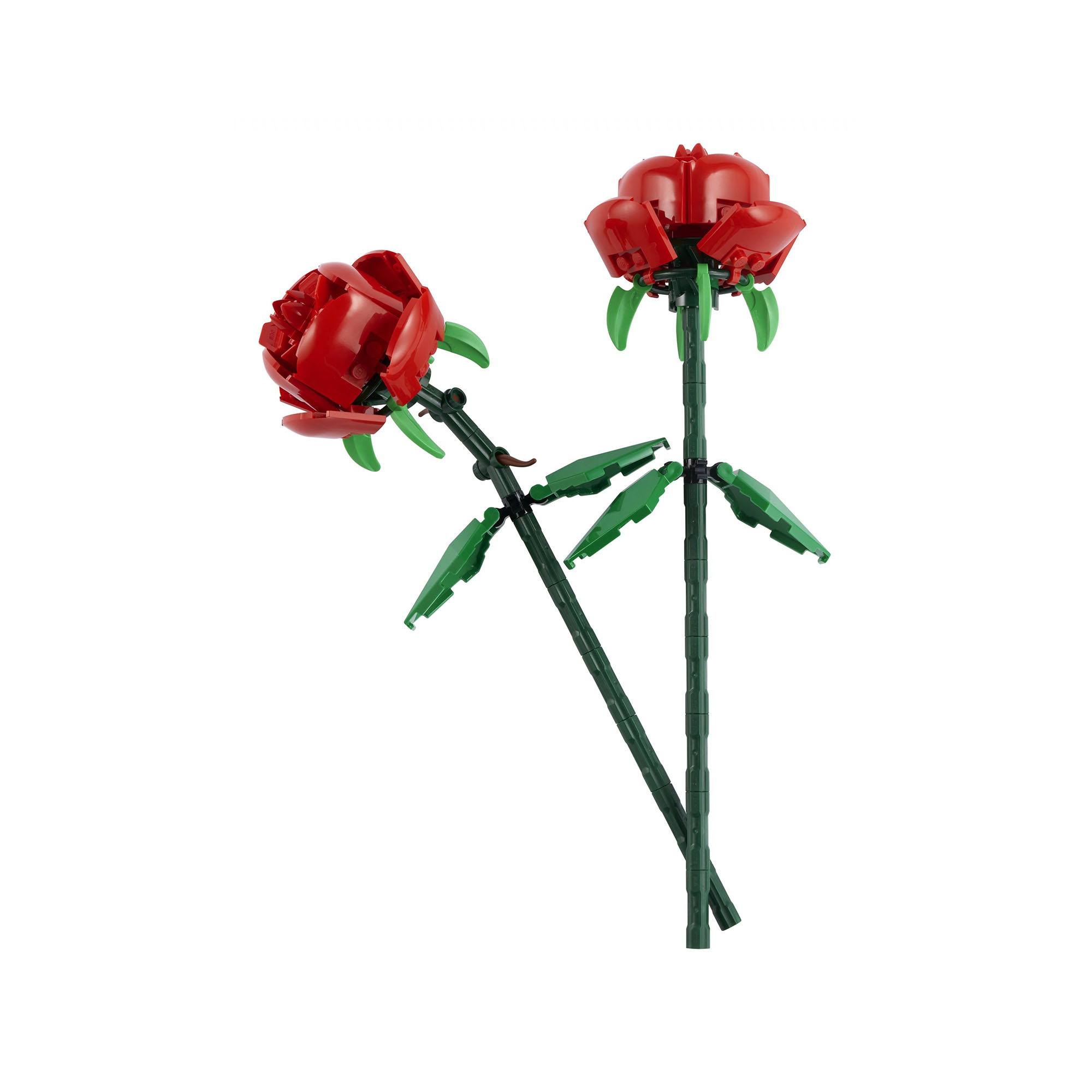 Rose 40460, , large