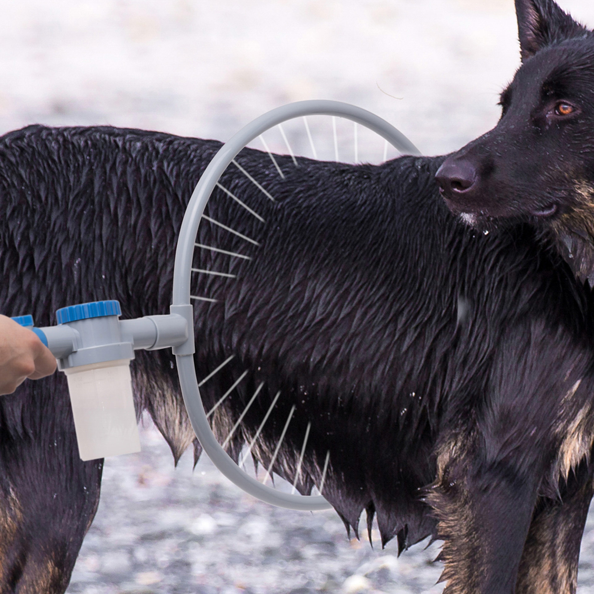 Sistema per pulizia cani 360°, , large