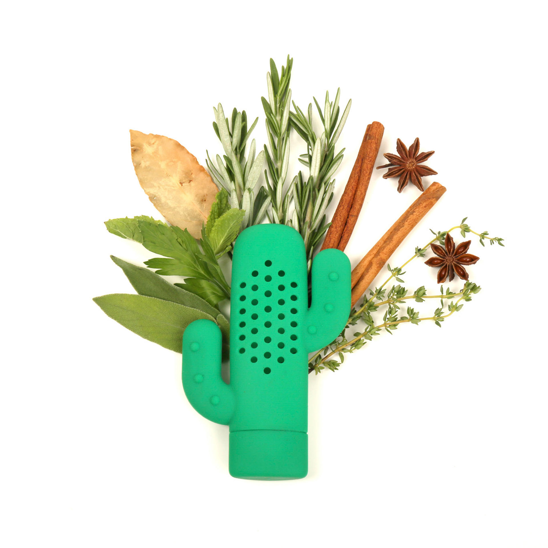 Porta e distribuisci aromi a forma di cactus, , large