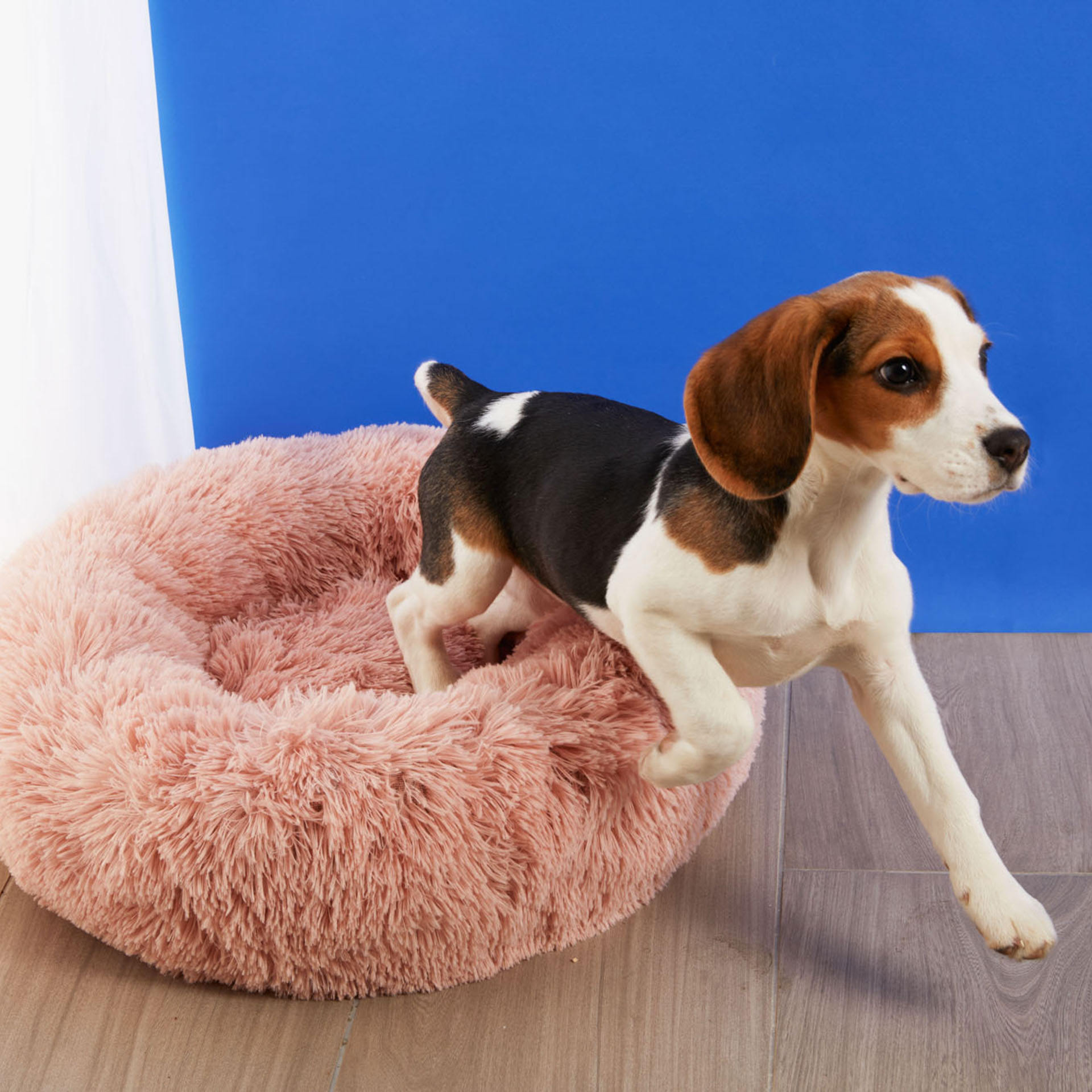 Cuccia per cani morbida a pelo lungo, , large