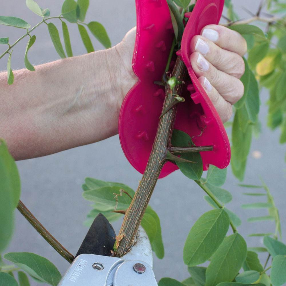 Protezione per giardinaggio, , large