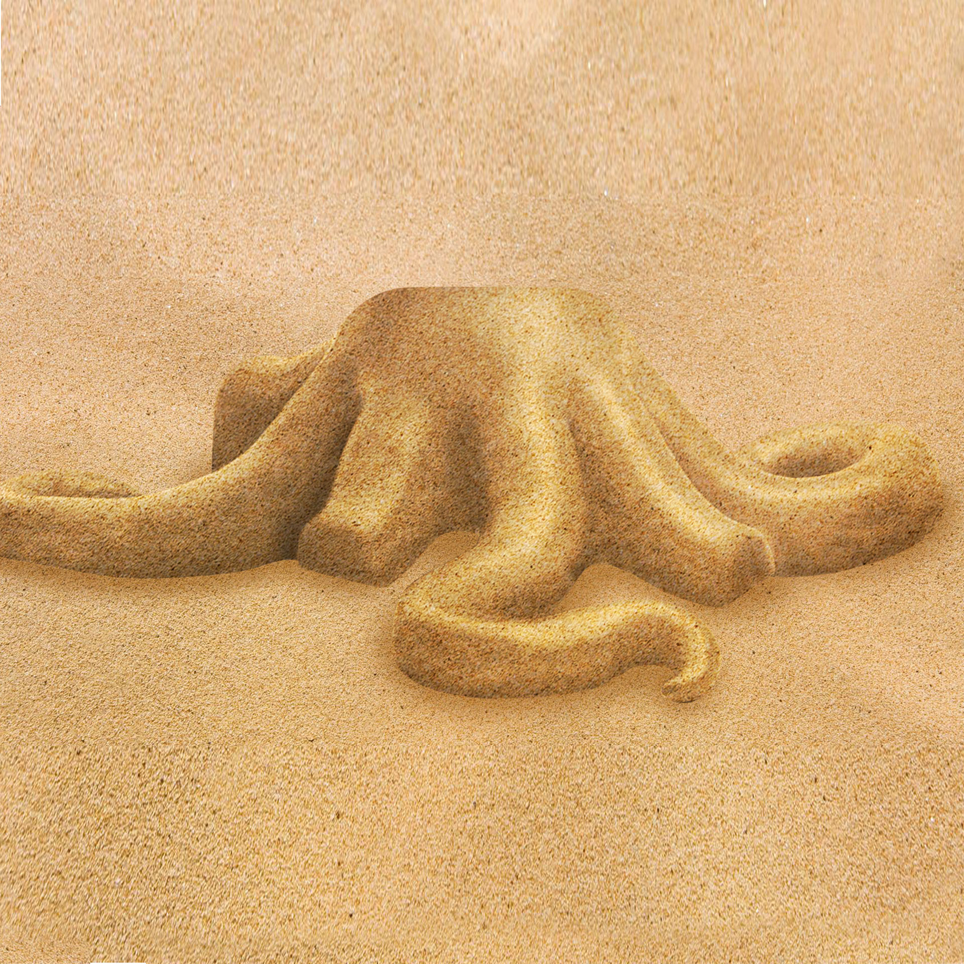 Formine per sabbia animali marini, , large