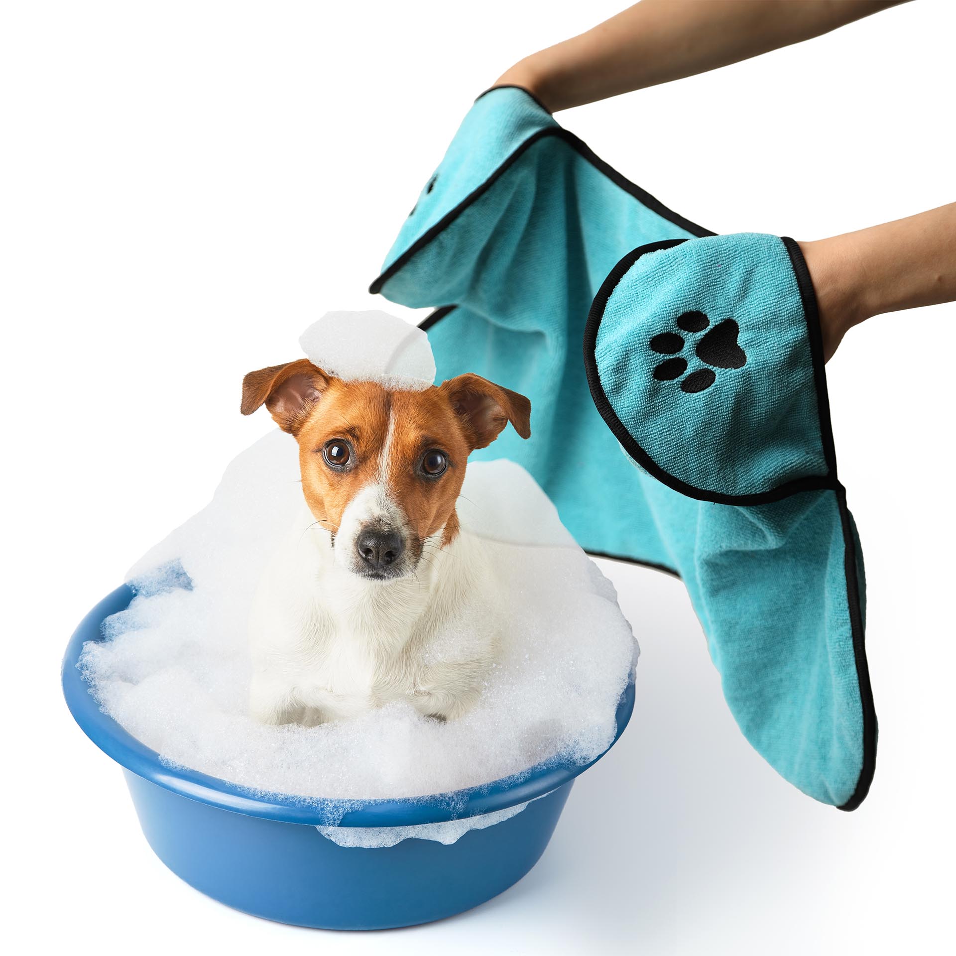 Asciugamano in microfibra per cani, , large