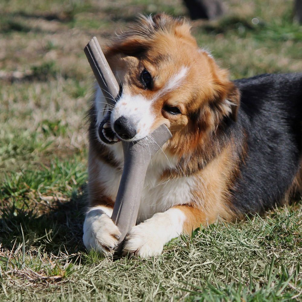 Finto Bastone Gioco Per Cani - Tuttomio, , large