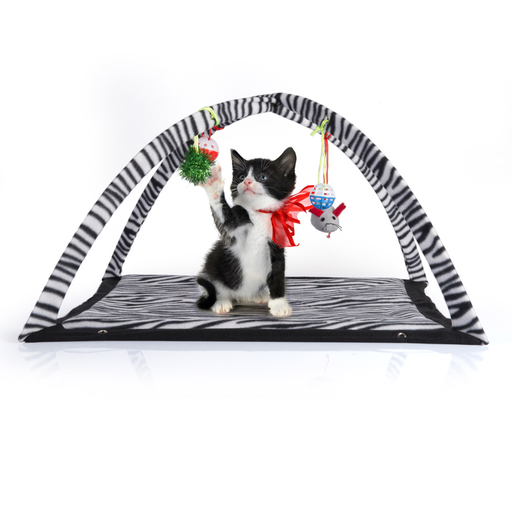 Tenda gioco pop up per gatti, , large