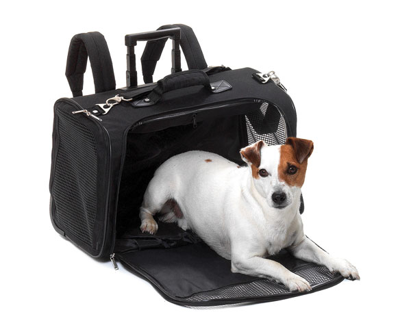Trolley per cani, , large