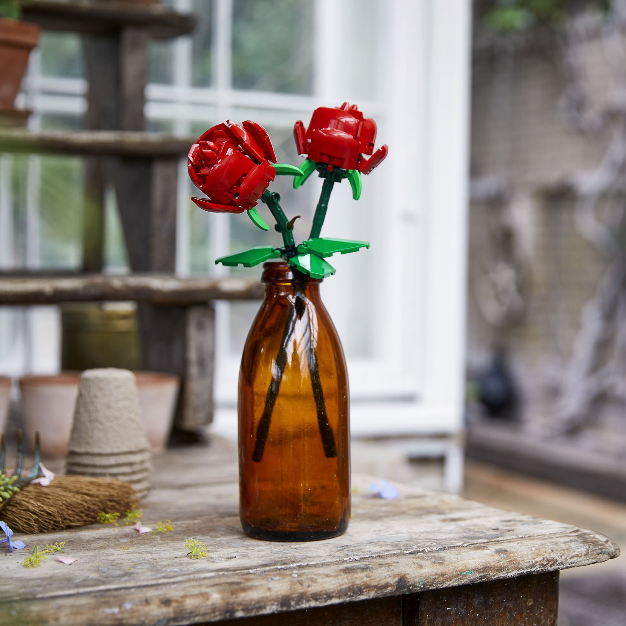 Rose 40460, , large