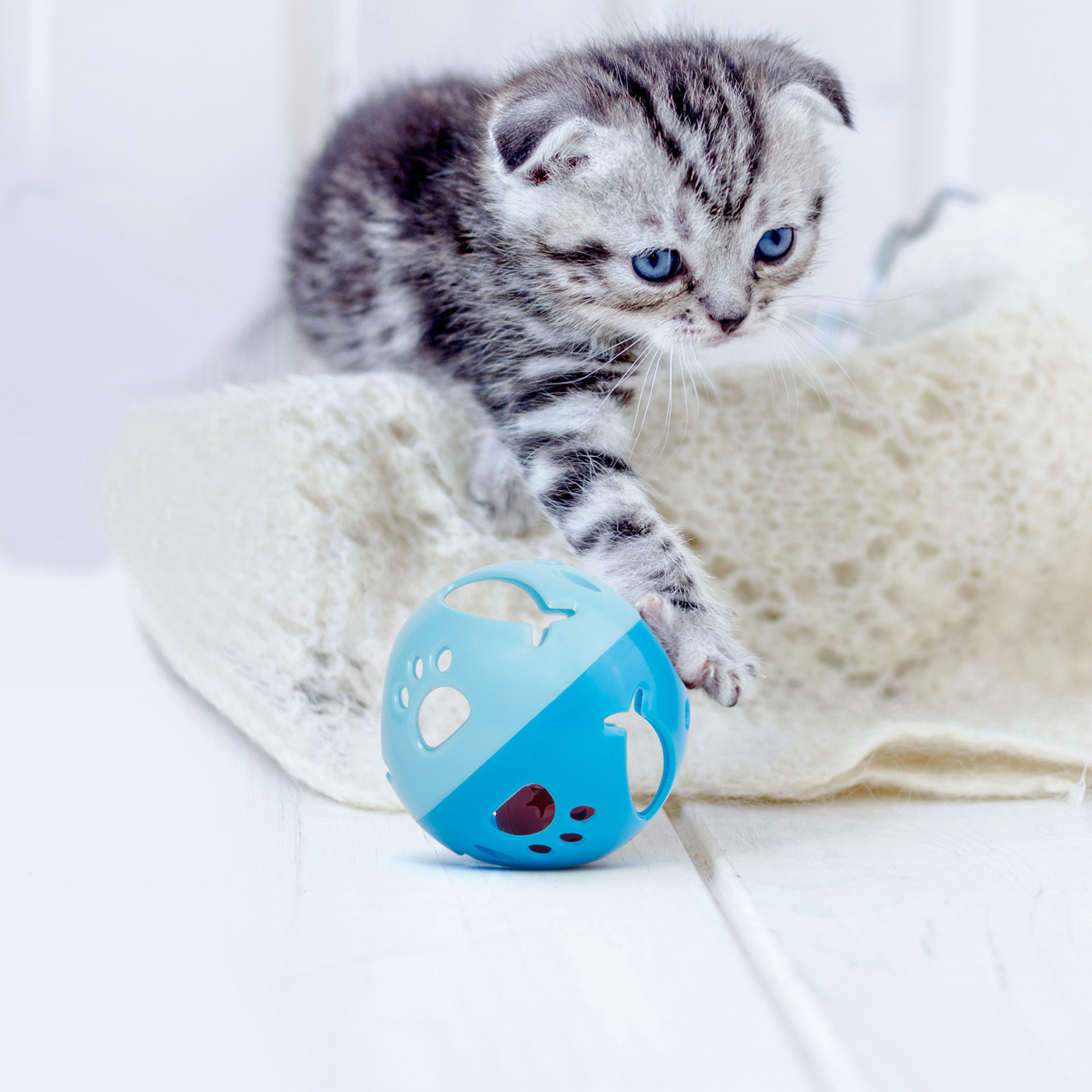 Palla Gioco Per Gatti, , large