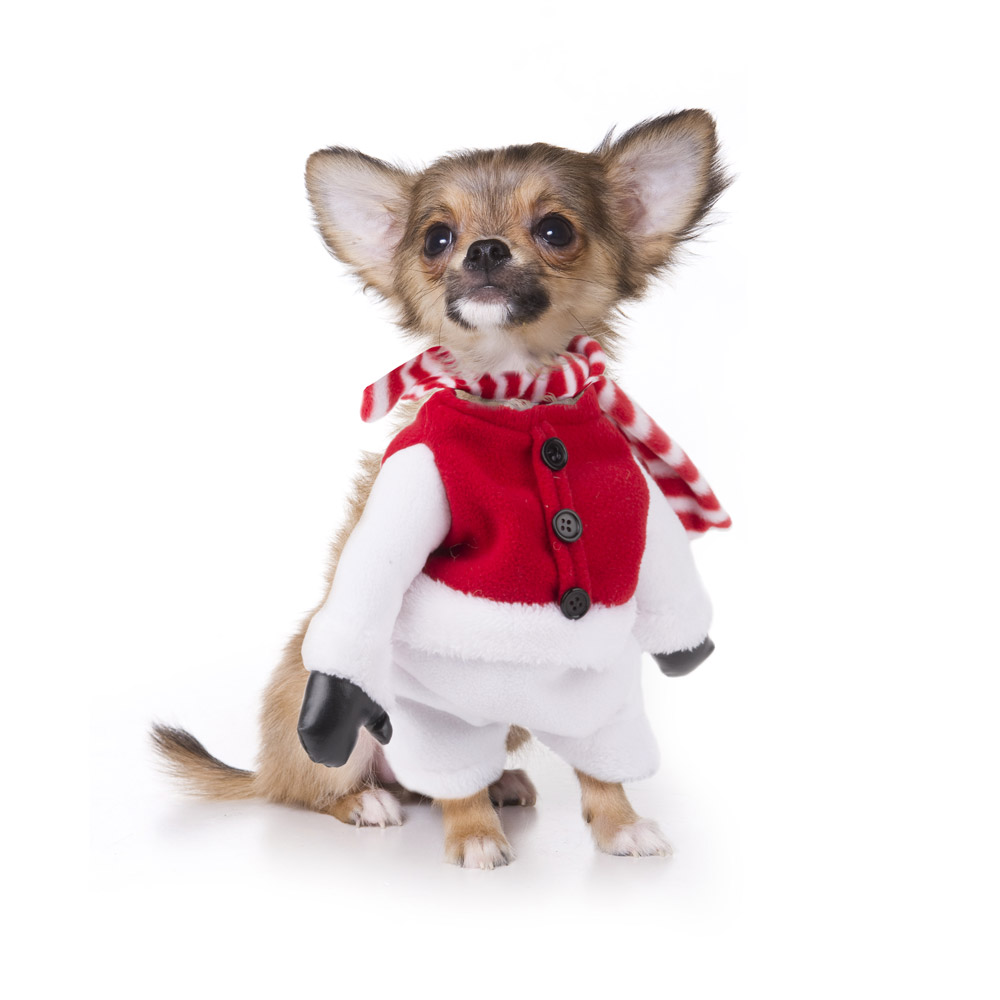 Costume natalizio per cani - Vestito natalizio con sciarpa, , large