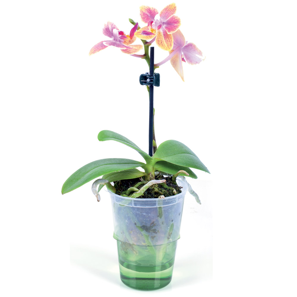 Vaso con riserva d'acqua, , large