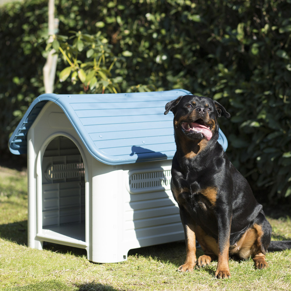 Maxi cuccia cani con tettino apribile, , large