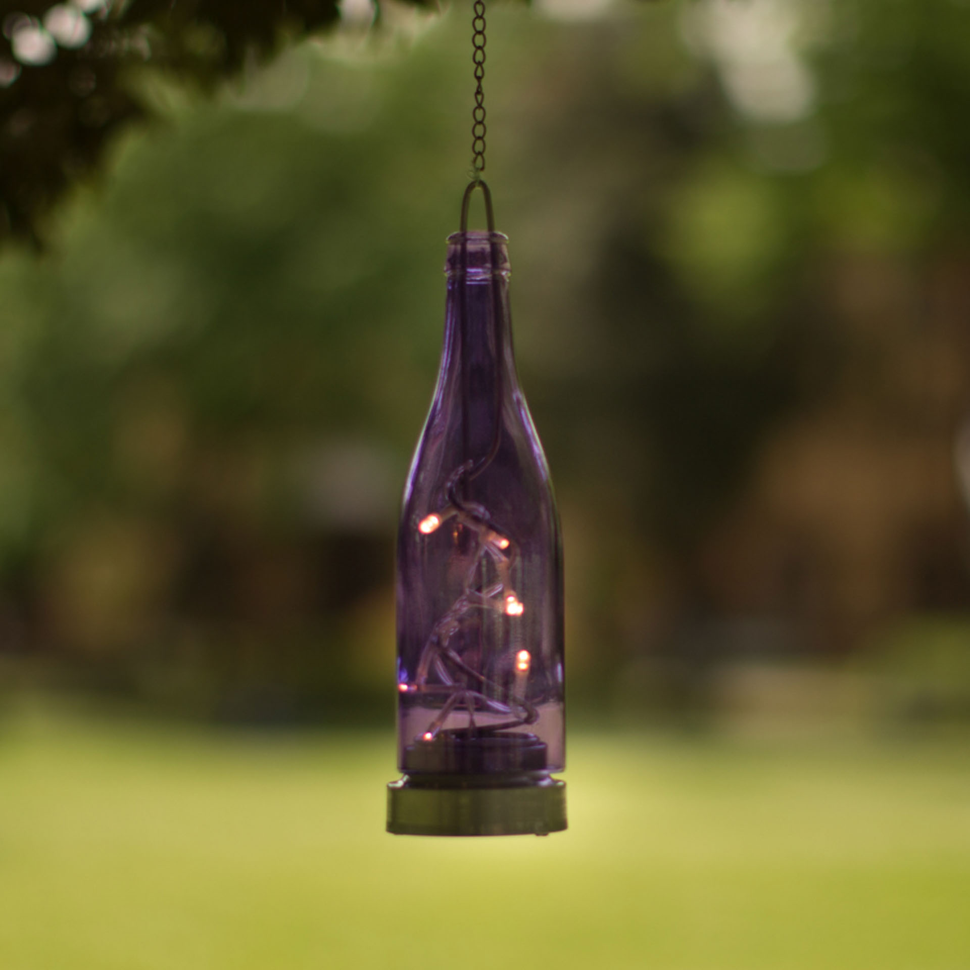 Bottiglia decorativa in vetro da giardino con 8 luci LED, , large