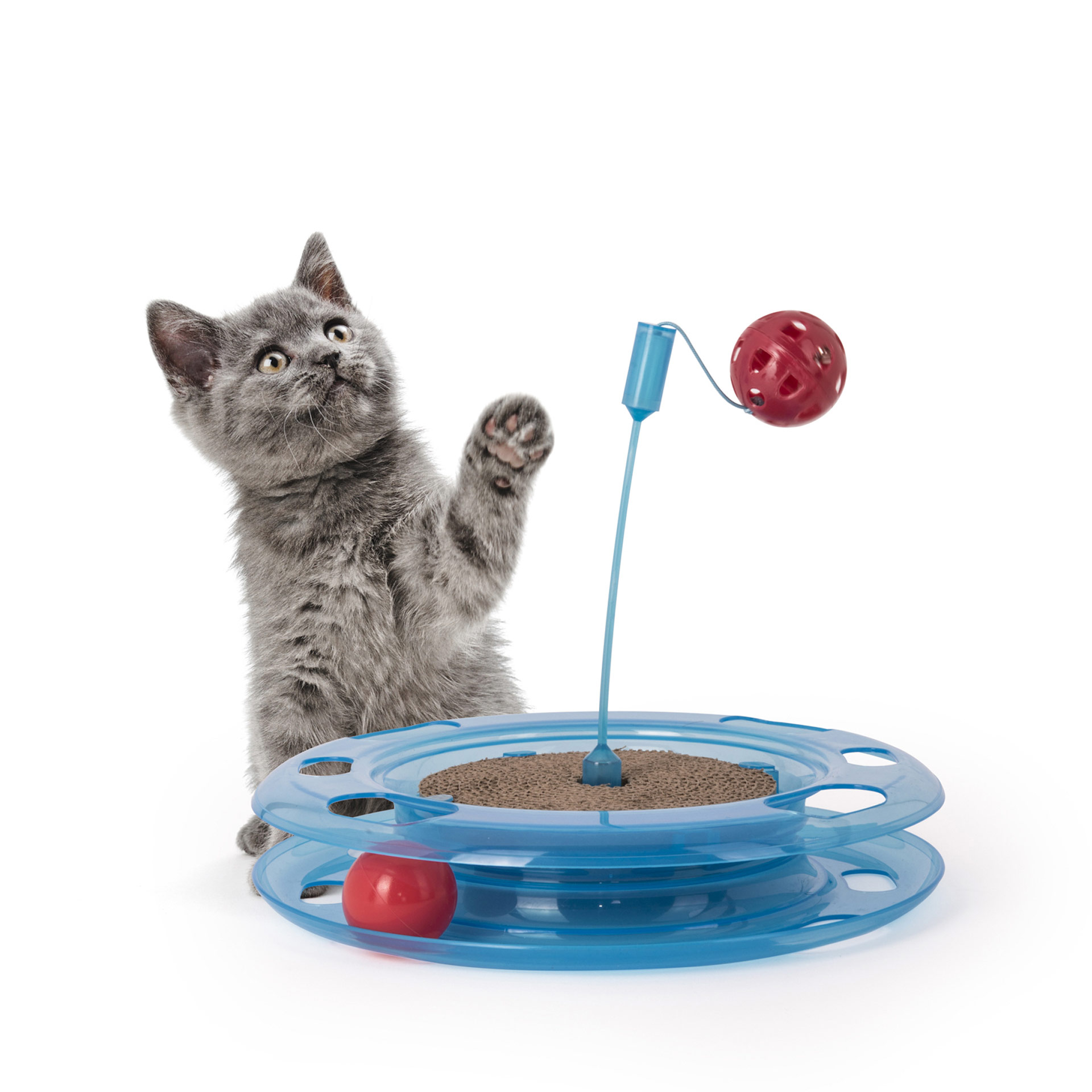 Gioco con tiragraffi per gatti, , large