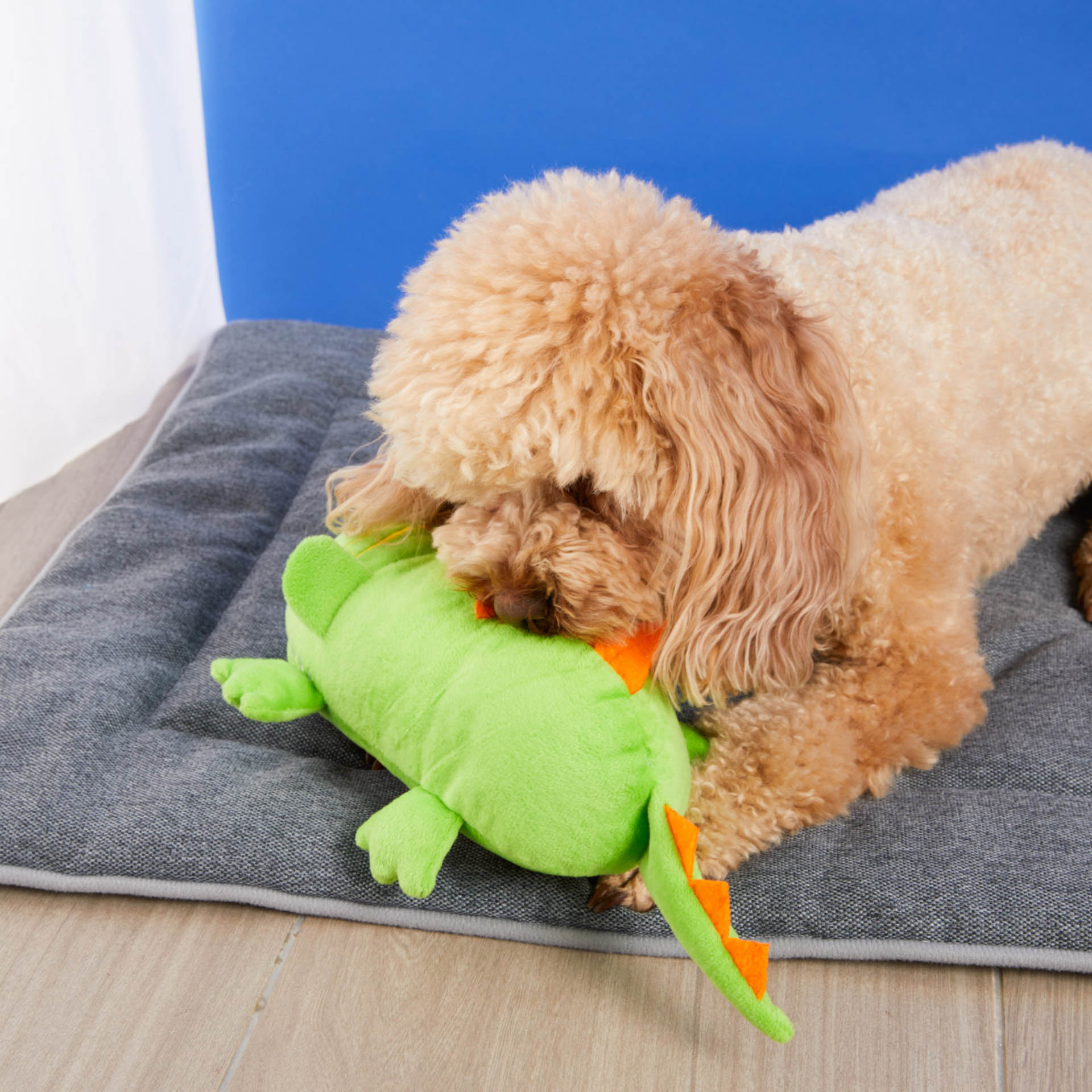 Gioco peluche dispensa crocchette per cani, verde, large