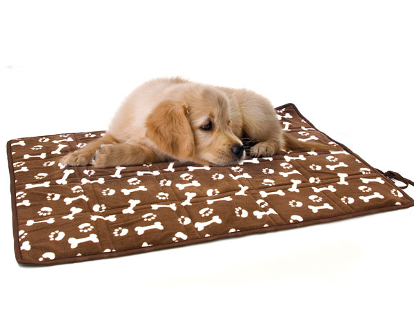 Coperta imbottita per cane, , large