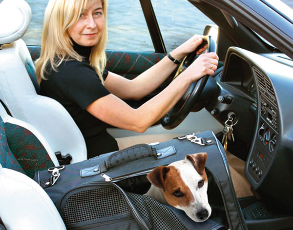 Trolley per cani, , large