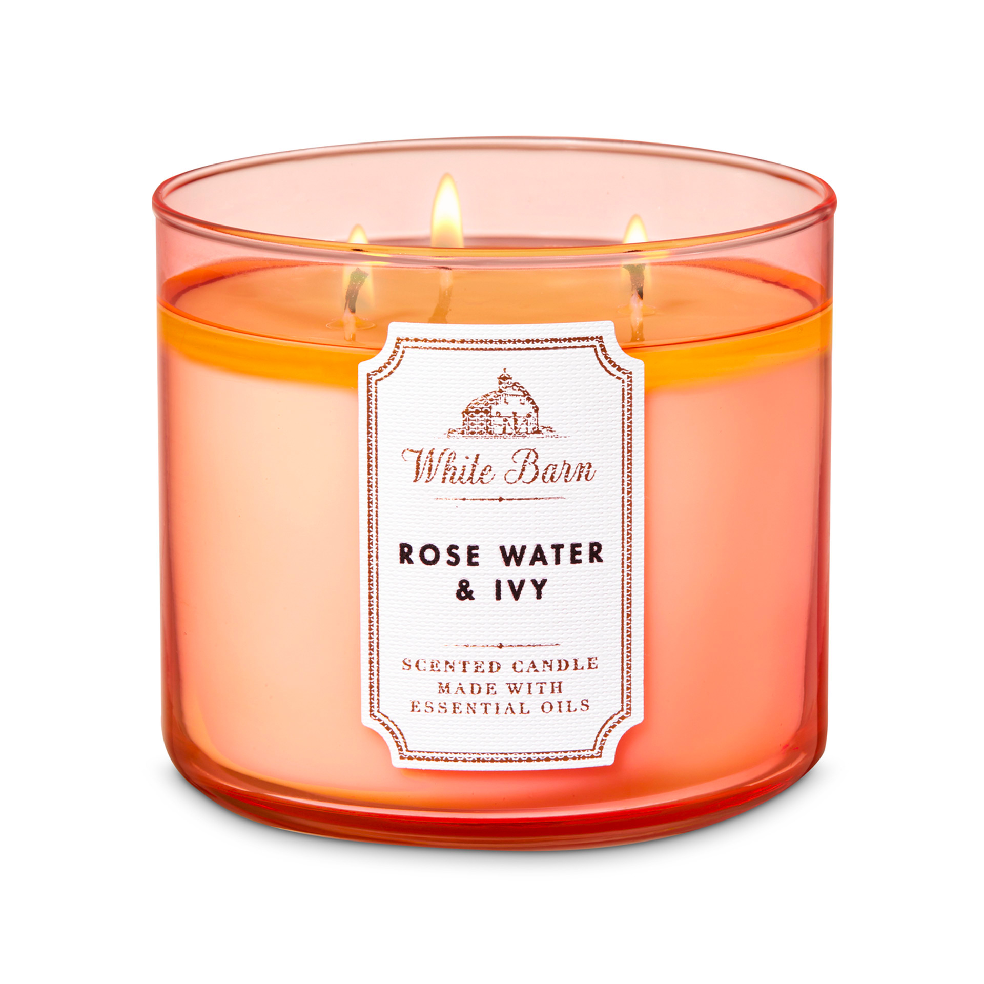 Rosewater and Ivy Candela profumata decorativa 3 stoppini con oli essenziali, , large