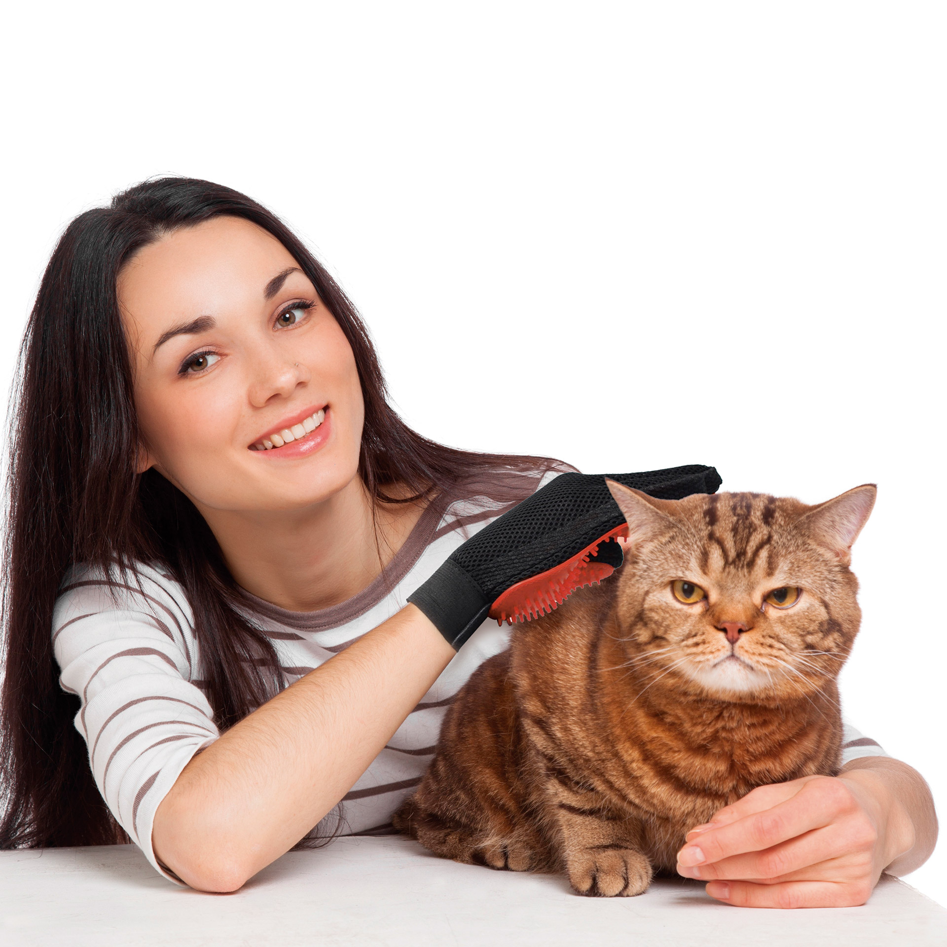 Visti in TV Guanto spazzola per pulizia pelo animali, , large