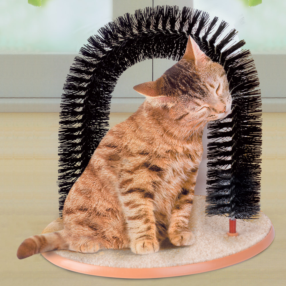 Gioco spazzola per gatto, , large