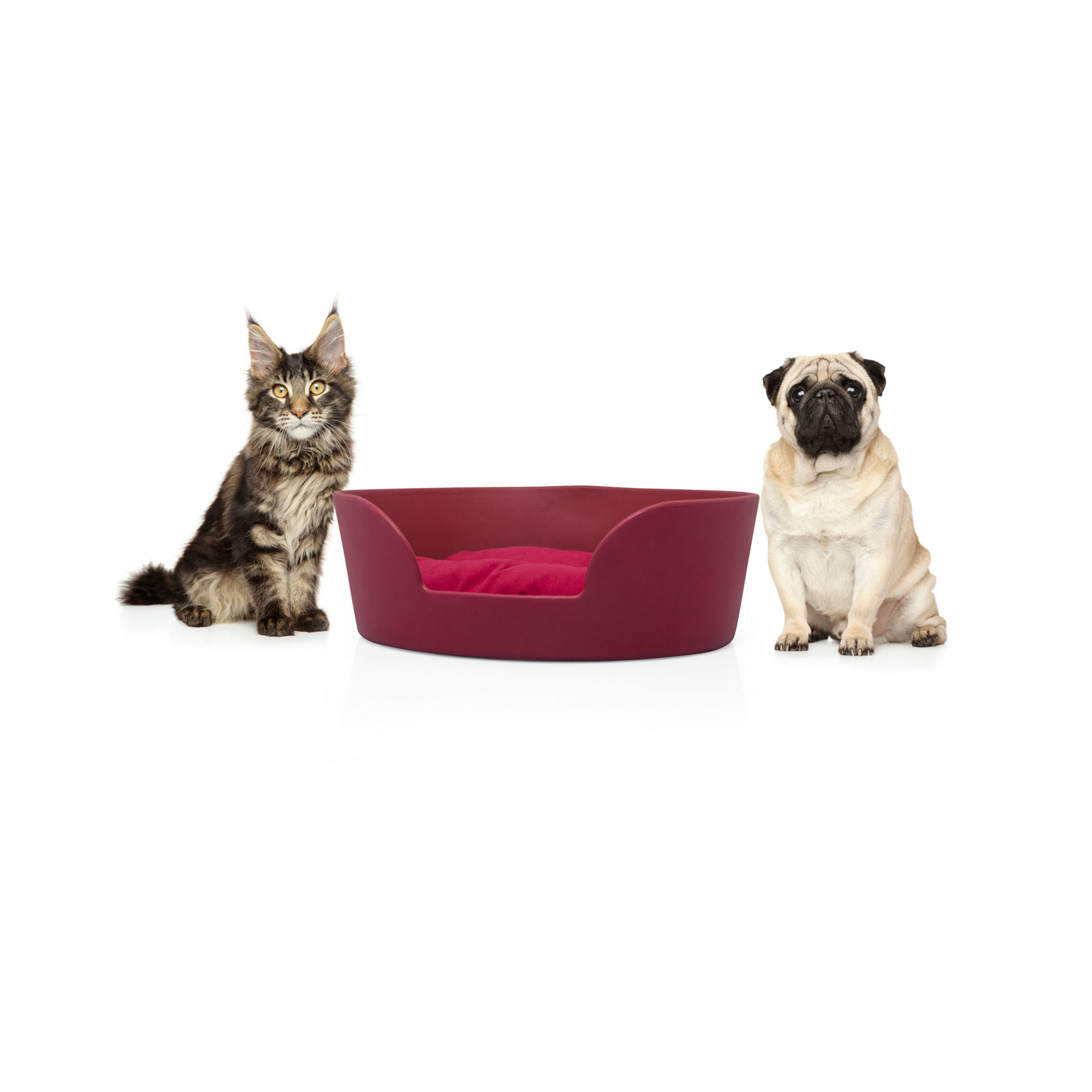 Cuccia per cani e gatti - The Boo Bed - colore rosso, rosso, large