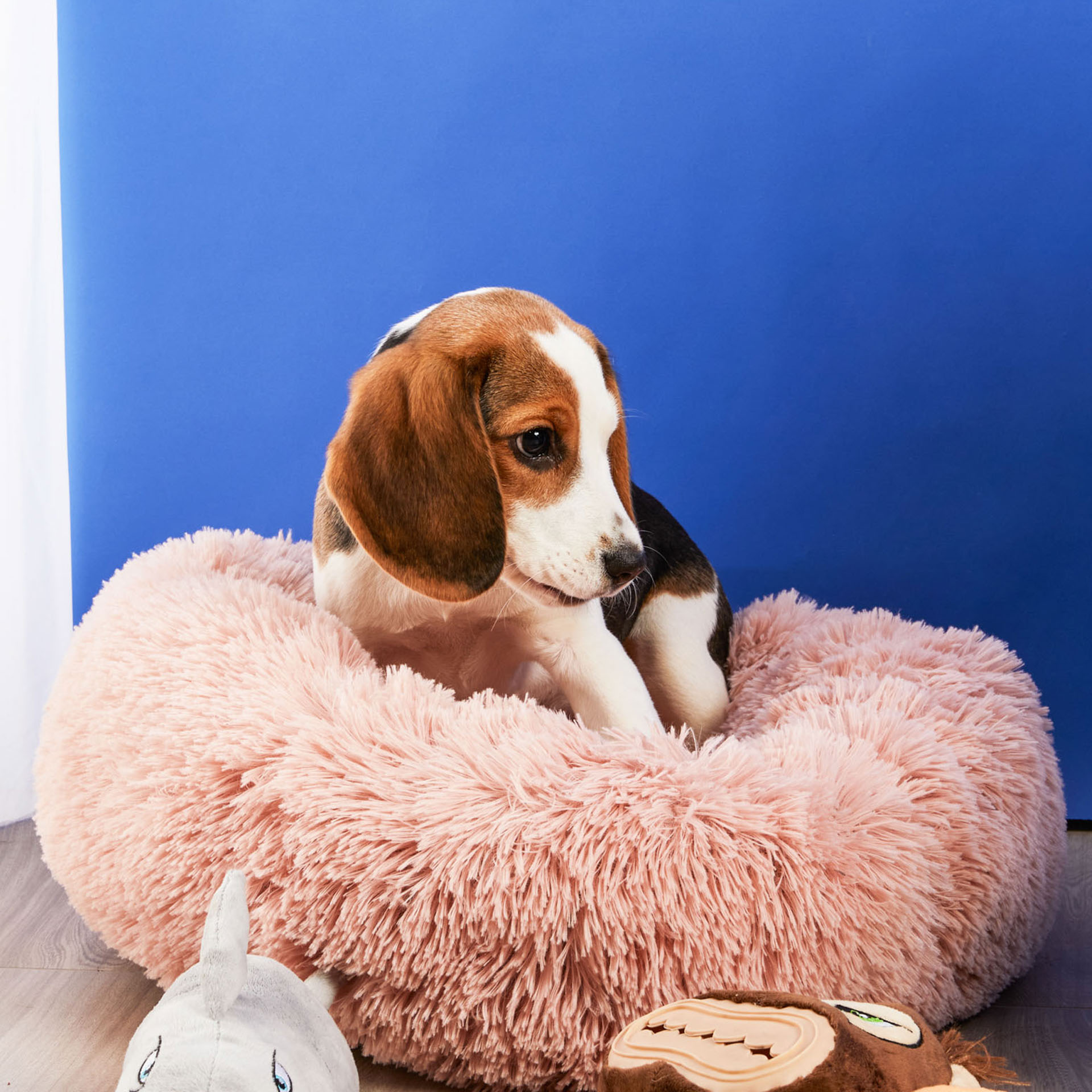 Cuccia Per Cani Morbida A Pelo Lungo, , large