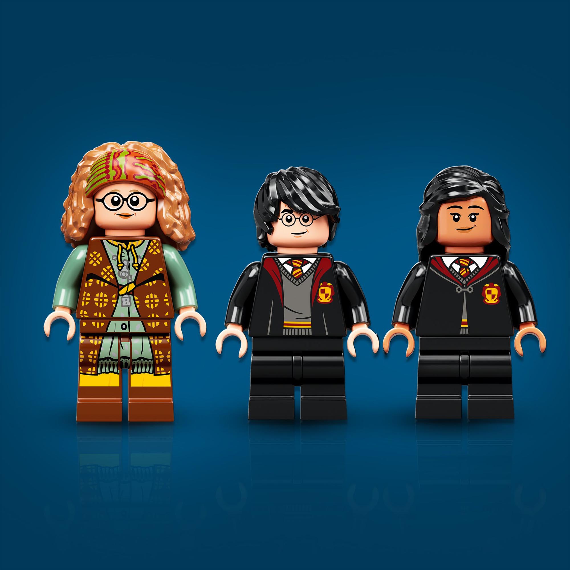 LEGO 76396 Harry Potter Lezione di Divinazione a Hogwarts, Libro di Magia, Idea  76396, , large