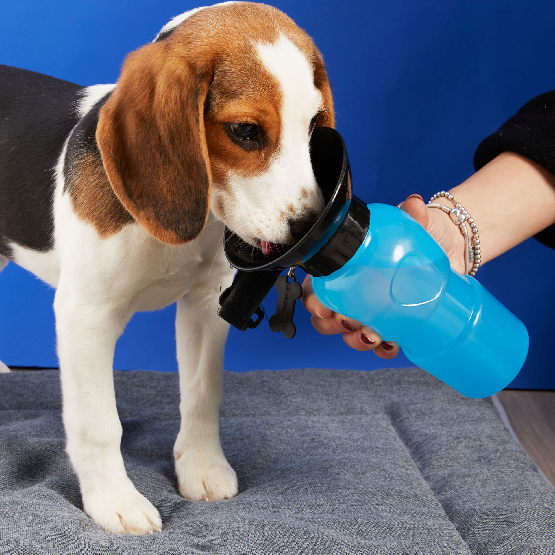Dispenser acqua portatile per cani, , large