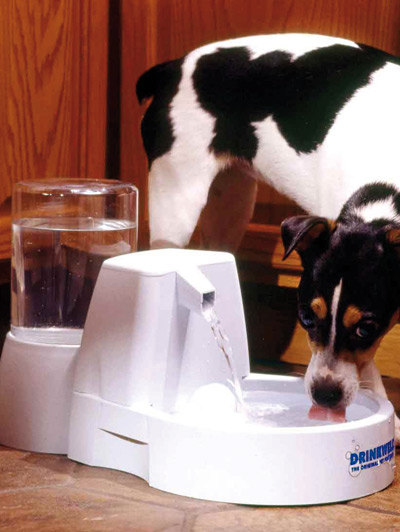 Maxi fontana d'acqua per cani con serbatoio, , large