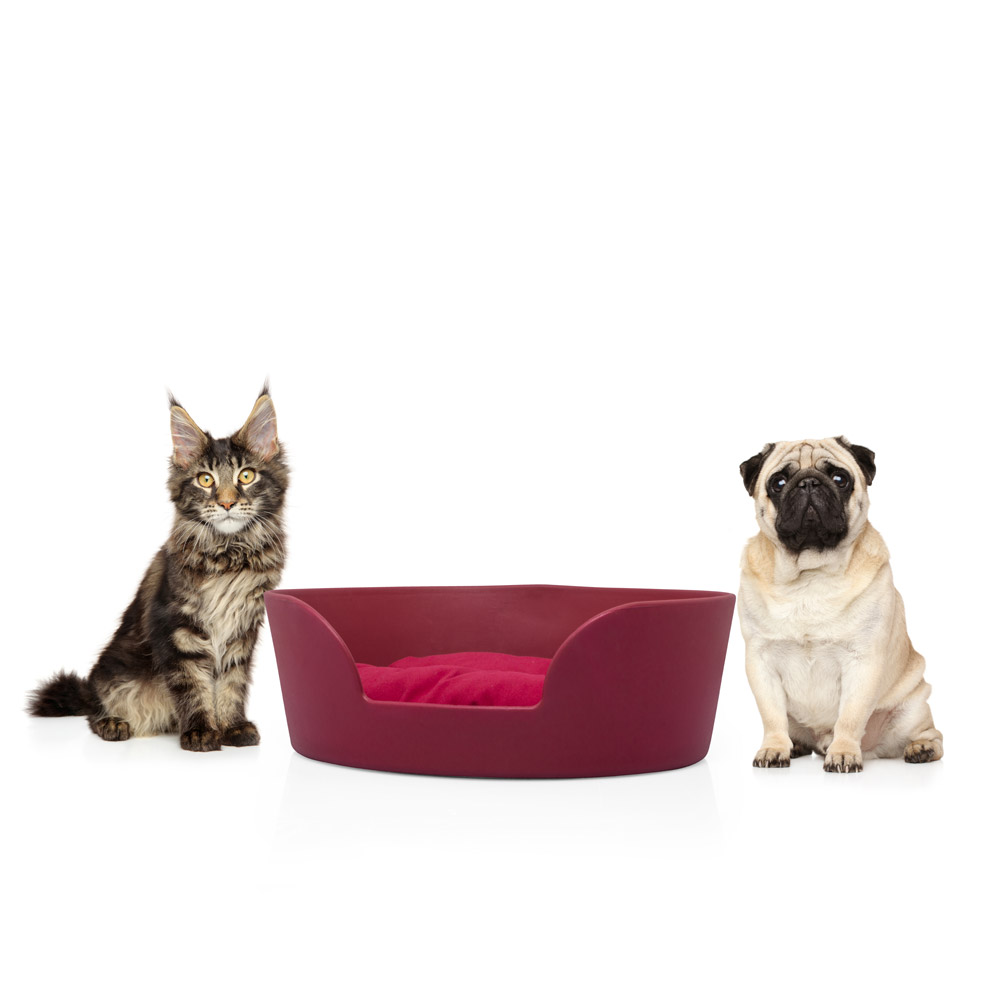 Cuccia per cani e gatti - The Boo Bed, , large