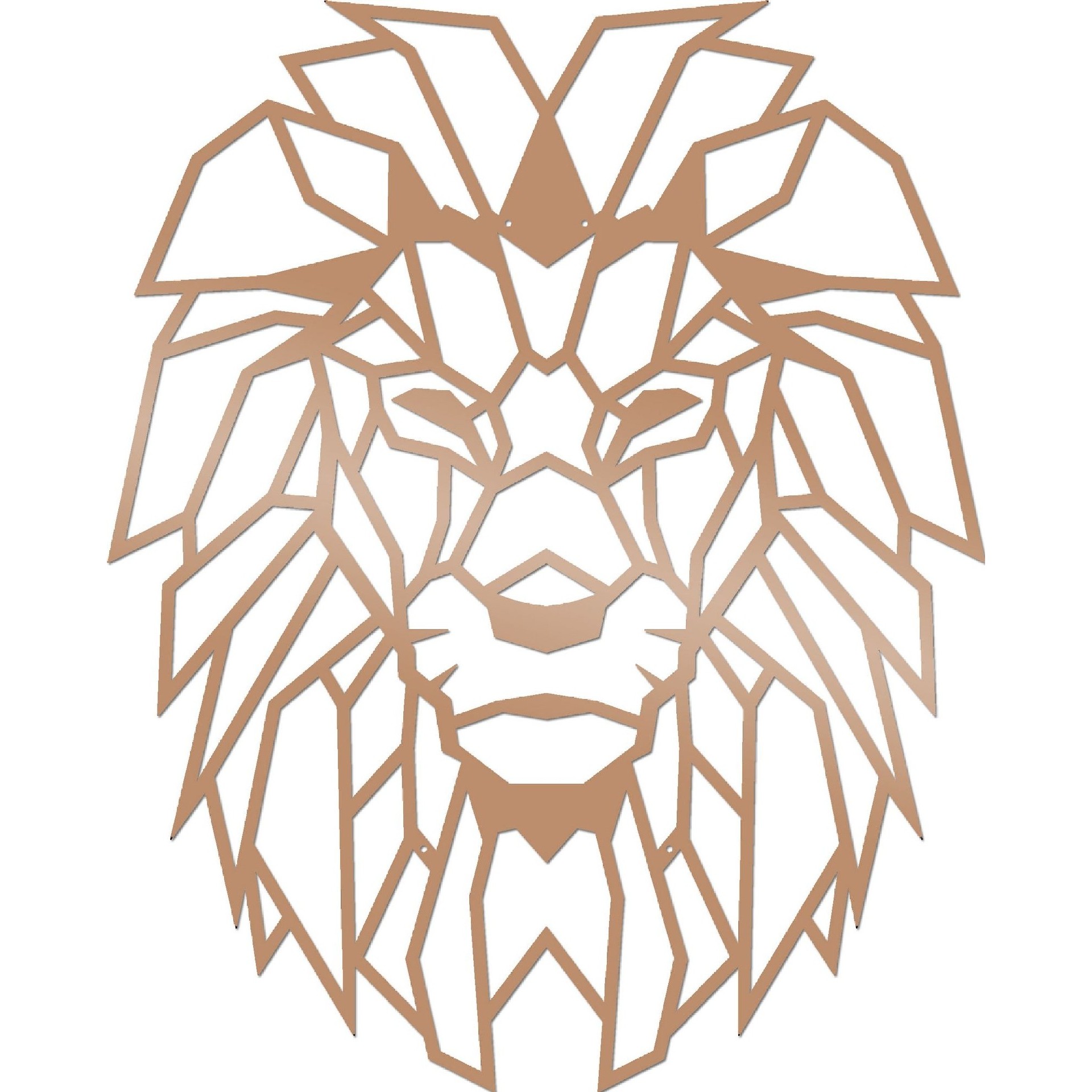 HOMEMANIA Decorazione da Parete Lion, rame, , large