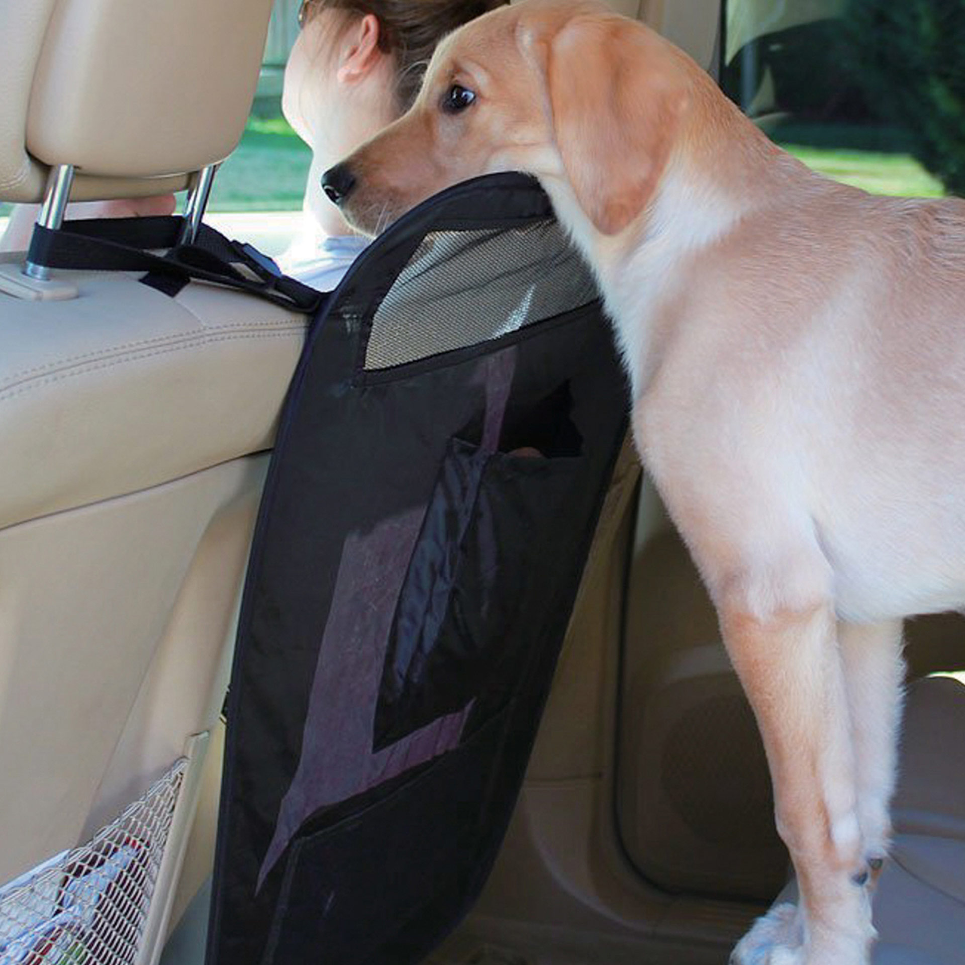 Barriera auto per cani, , large