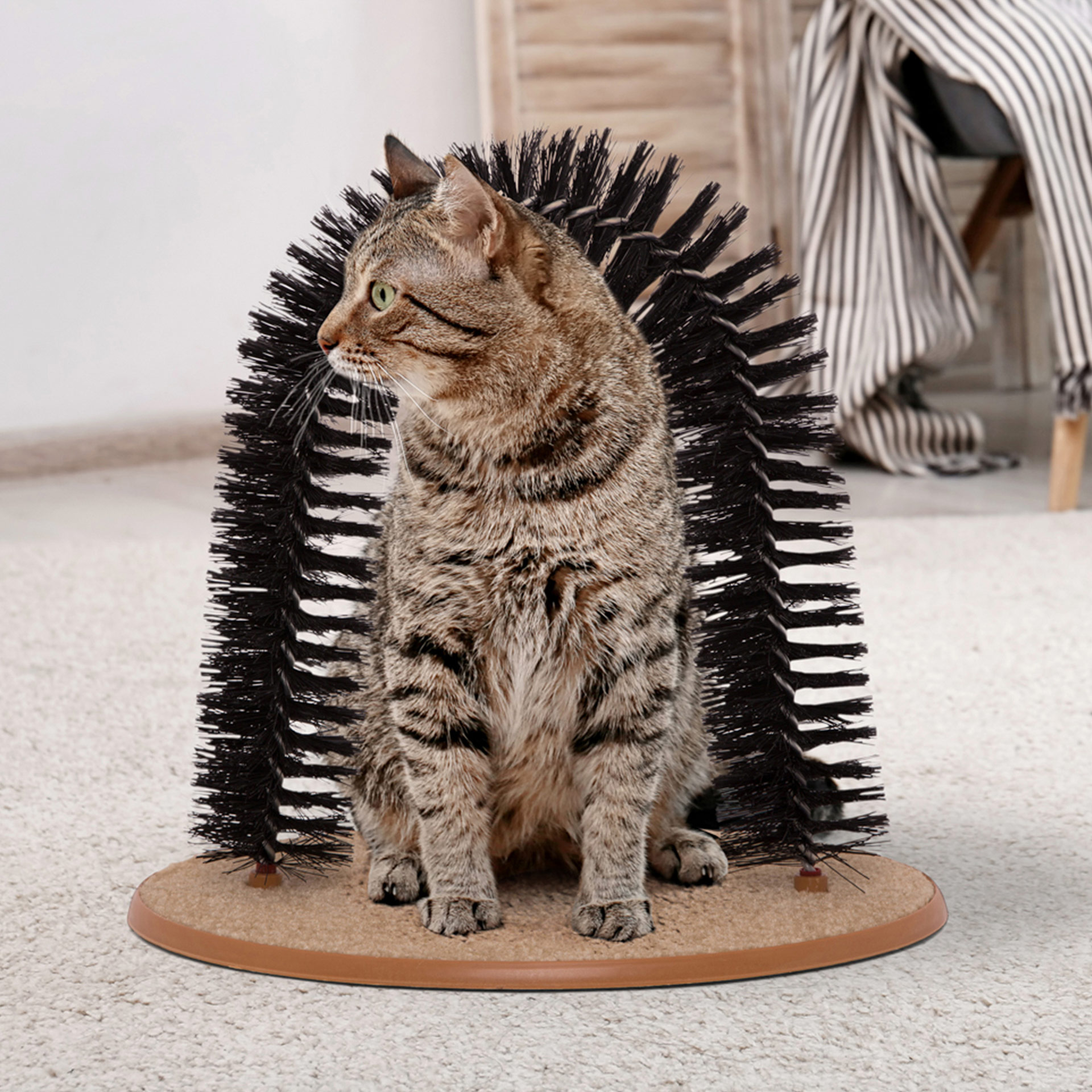 Gioco spazzola con tiragraffi per gatto, , large